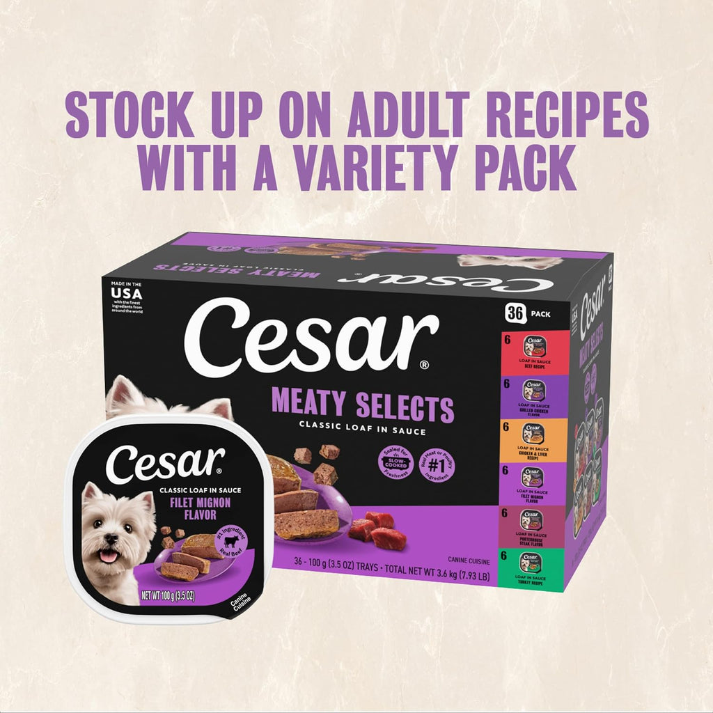 Cesar Classic Loaf in Sauce Wet Dog Food, Filet Mignon, 3.5 oz, 24 Count | Made in USA, Real beef #1 ingredient, no fillers/added sugar/artificial flavors, use as meal or topper, easy peel trays