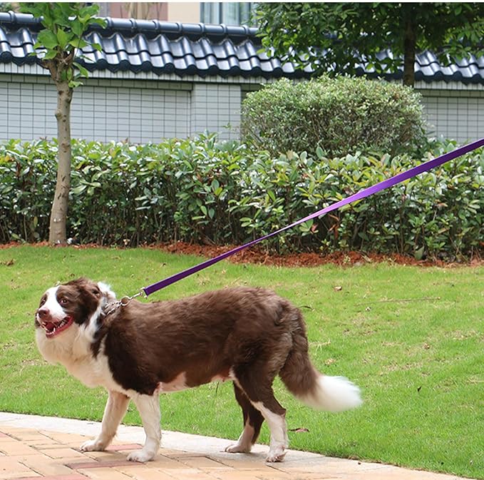 AMAGOOD Dog/Puppy Obedience Recall Training Agility Lead-15 ft 20 ft 30 ft 50 ft Long Leash-for Dog Training,Tie Out,Play,Safety,Camping (15Feet x 1Inch, Purple)