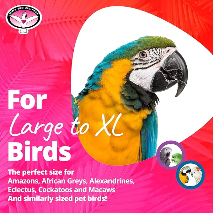 Super Bird Creations - SB326 Large to XL Bungee Bird Toy - Rope Perch for Amazons, African Greys, Cockatoos, Parrots - Colorful Hanging Perch - Enriching Bungee Toy for Large/XL Birds & in Bird Cages