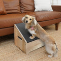 Step-Ramp for Dogs - Solid Hardwood with 3 Finish Options - Dog Ramp & Step Combination with Storage Cubby to Save Space, For Dogs Who Could Use a Helping Step Up - Made in North America