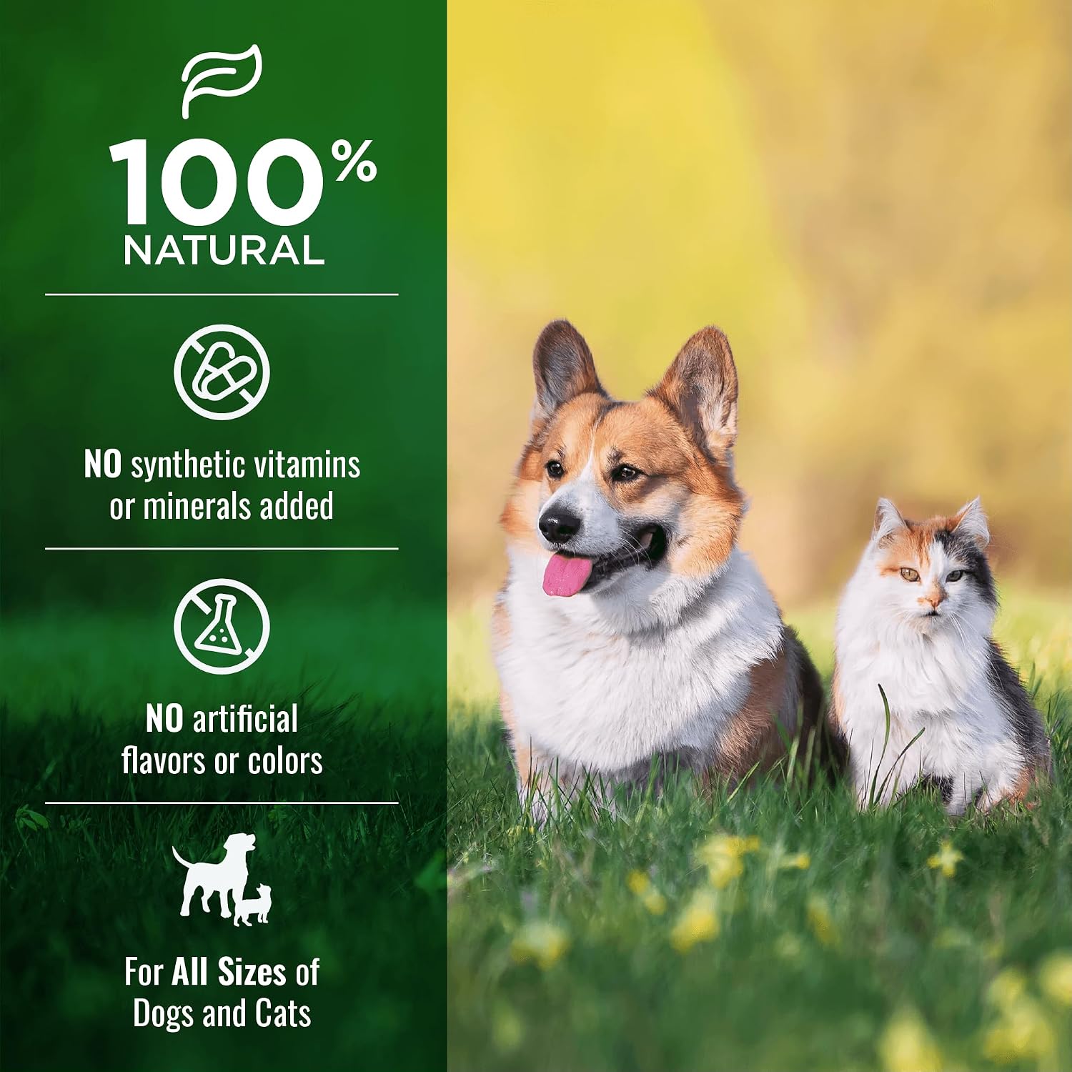 NATURE'S LOGIC Dehydrated Chicken Bone Broth Powder - Dog & Cat Topper, 6oz | 100% natural dog & cat topper, Rich in glucosamine & chondroitin, Boosts immune system, Gluten-free, No synthetic ingredients
