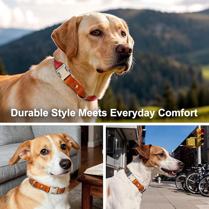 Plutus Pet Genuine Leather & Hemp Dog Collar – Adjustable Heavy Duty Pet Collar with Quick Release Metal Buckle, Soft & Stylish for Puppy and Small, Medium, Large Dogs (Royal Blue, M)