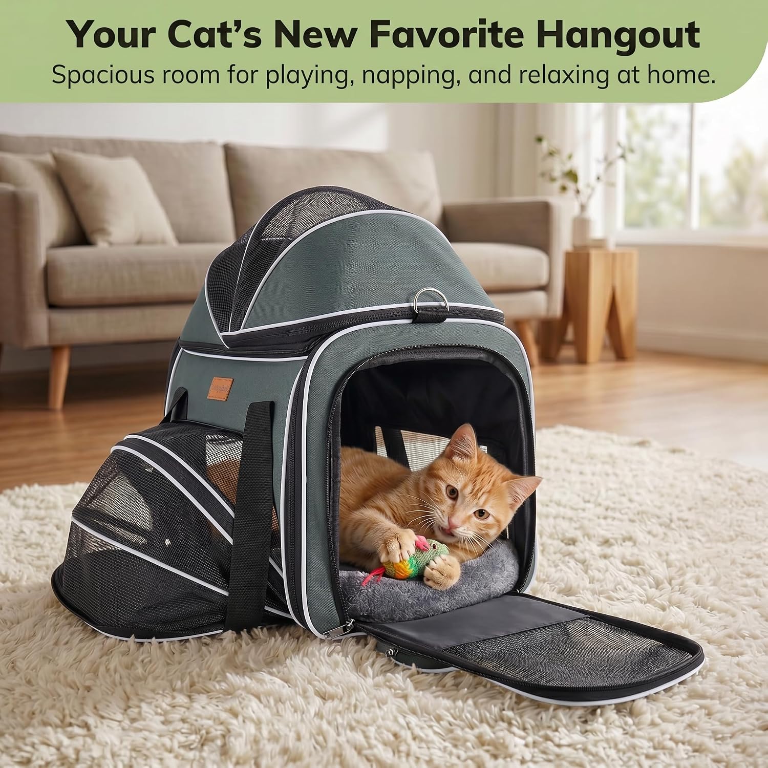 Morpilot Top and Side Expandable Cat Carrier for Pets up to 20lbs | Airline Approved Collapsible Soft-Sided Pet Carrier for Car Rides and Vet Visits (Dark Gray)