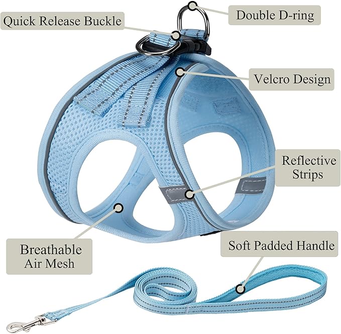 Dog Harness with Leash Set, No Pull Adjustable Reflective Step-in Puppy Pet Vest Harnesses for Small Medium Large Dogs and Cats,Sky Blue XS