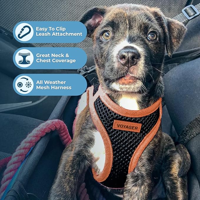 Best Pet Supplies Voyager Step-in Air All Weather Mesh Harness and Reflective Dog 5 ft Leash Combo with Neoprene Handle, for Small, Medium and Large Breed Puppies - Black/Orange Trim, X-Small