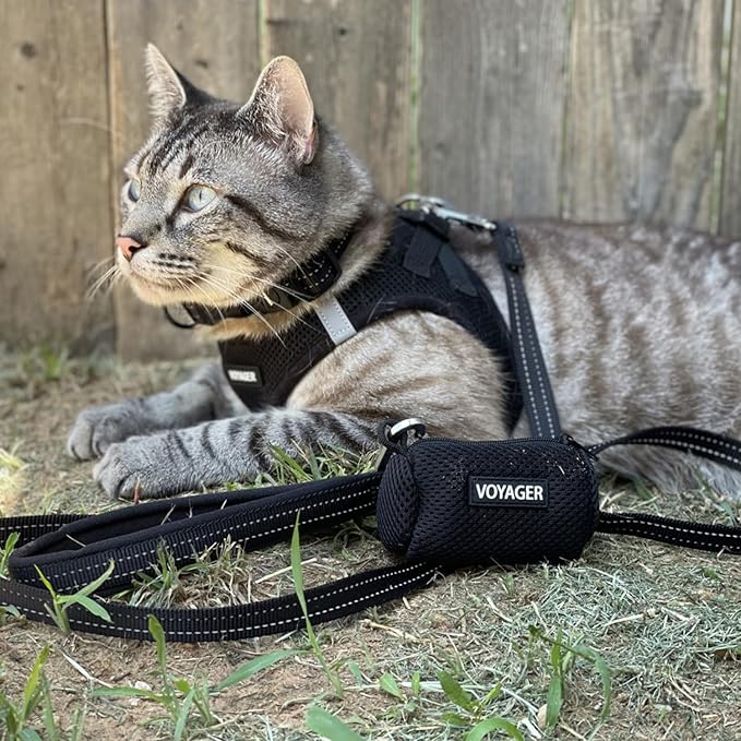 Best Pet Supplies Voyager Step-in Air All Weather Mesh Harness and Reflective Dog 5 ft Leash Combo with Neoprene Handle, for Small, Medium and Large Breed Puppies - Harness Leash Set (Black), XXS