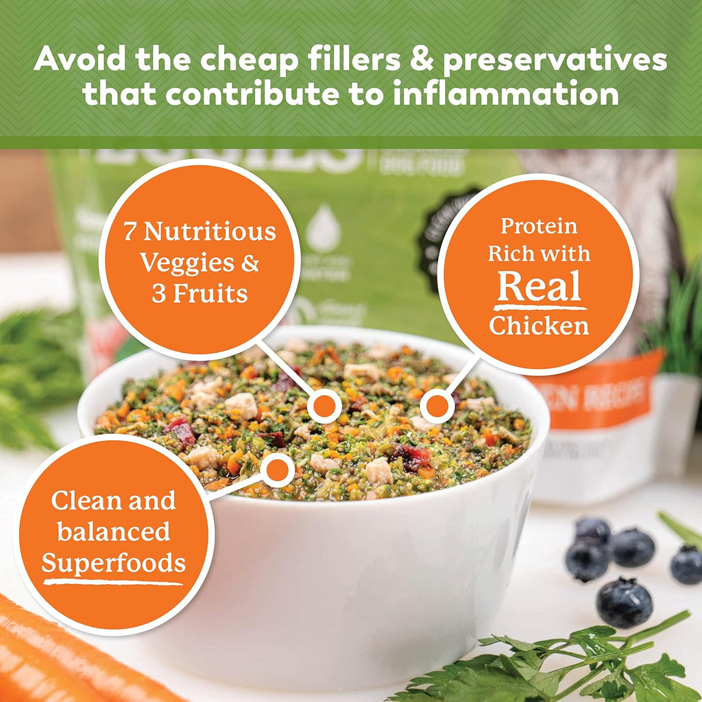 Dr. Harvey's Chicken & Garden Veggies Dog Food, Grain-Free (5 lb) | Dehydrated Food with Freeze-Dried Chicken
