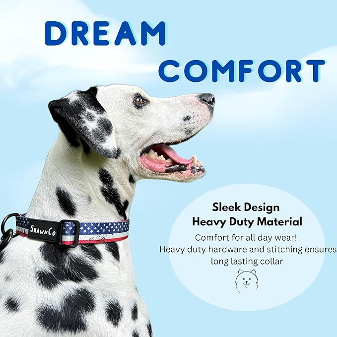 ShawnCo Dream Walk Dog Collar- Premium, Adjustable and Comfortable Pet Collar for Small, Medium, Large and Extra Large Dogs (M, Moonglow)