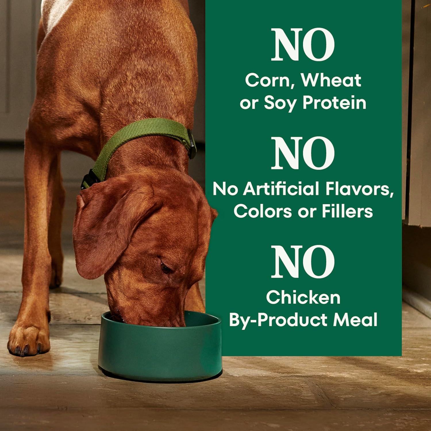 Nutro Natural Choice Adult Dry Dog Food, Chicken & Brown Rice Recipe, 36 lb | Non-GMO, Real chicken #1 ingredient, no corn, wheat, soy or chicken by-product meal, supports skin & coat/digestion/immunity