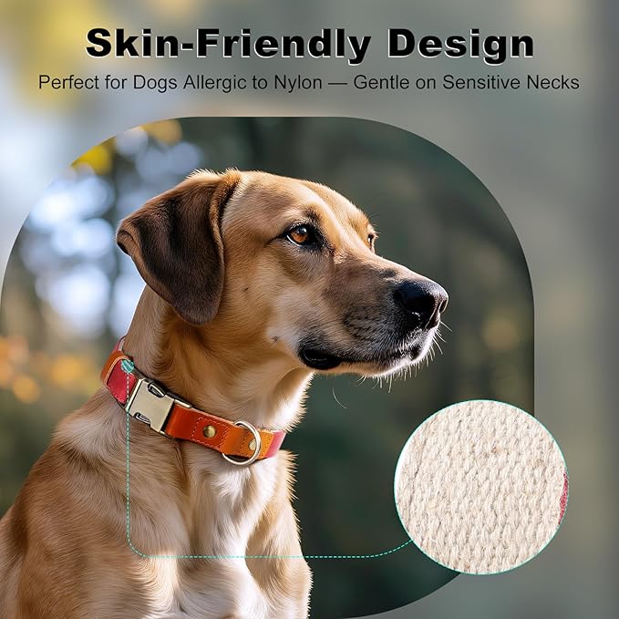 Plutus Pet Genuine Leather & Hemp Dog Collar – Adjustable Heavy Duty Pet Collar with Quick Release Metal Buckle, Soft & Stylish for Puppy and Small, Medium, Large Dogs (Red, S)