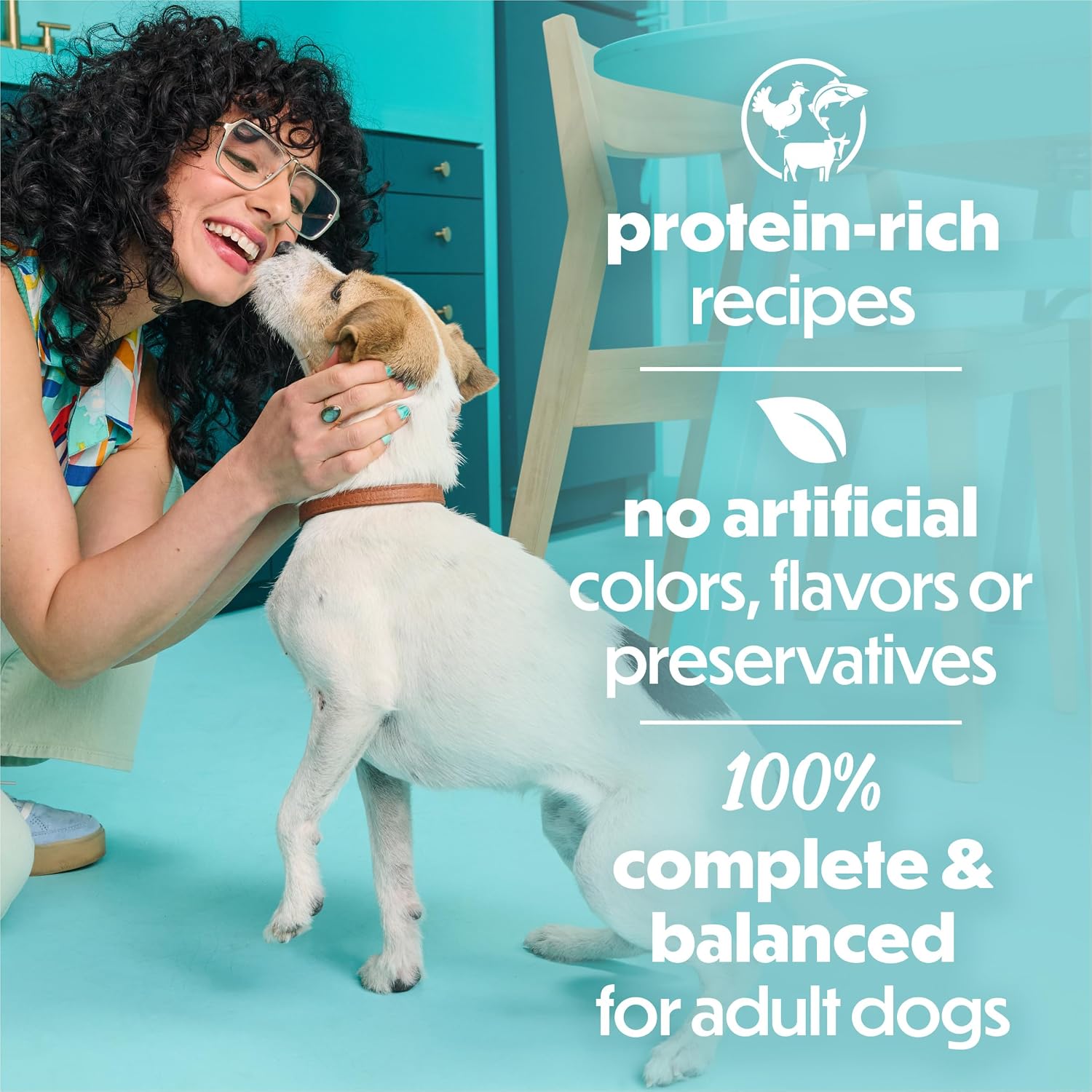 Purina Beneful Small Breed Wet Dog Food Variety Pack, (30) 3 oz Cans | IncrediBites real beef, chicken and salmon recipes with real vegetables and grains for flavors they'll love