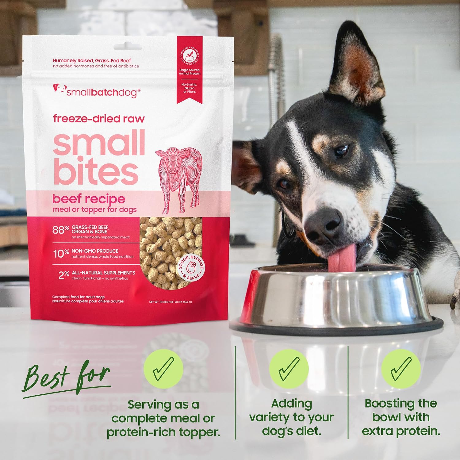 smallbatch Freeze Dried Raw Dog Food, Free-Range Chicken Small Bites 7 oz | Sustainably Sourced Protein, Grain-Free, Single Protein for Picky Eaters & Allergies, Adult Dog, Hydrate & Serve, Made in USA