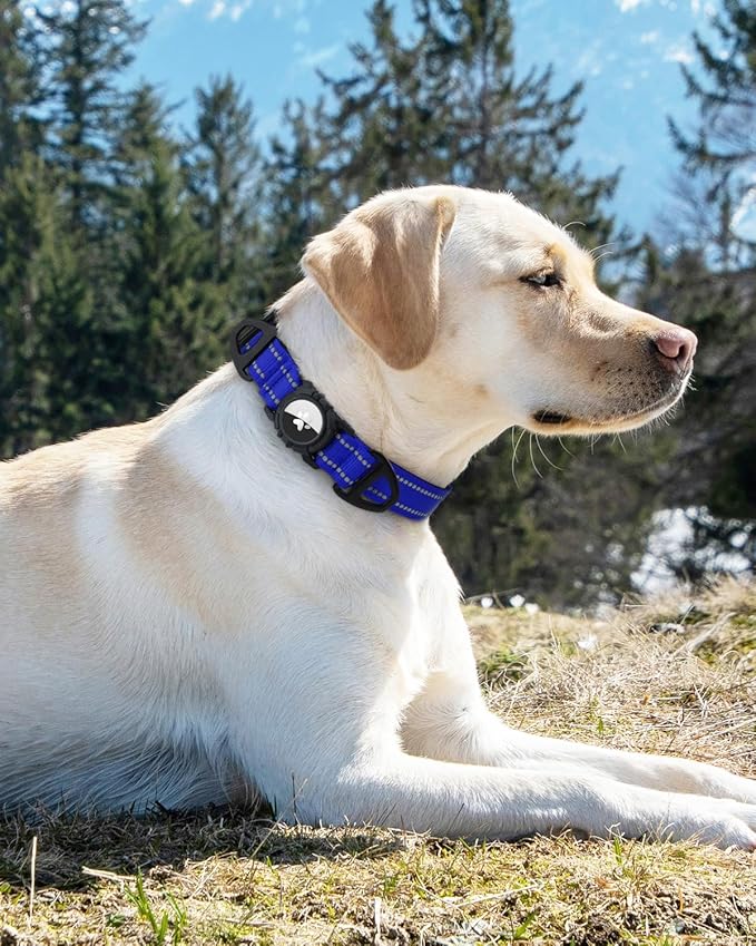 Joytale Airtag Dog Collar, Reflective Pet Collar with Waterproof AirTag Holder, Dual D-Rings, Soft Padded Adjustable for Extra Small and Puppy Dogs, Navy Blue, XS