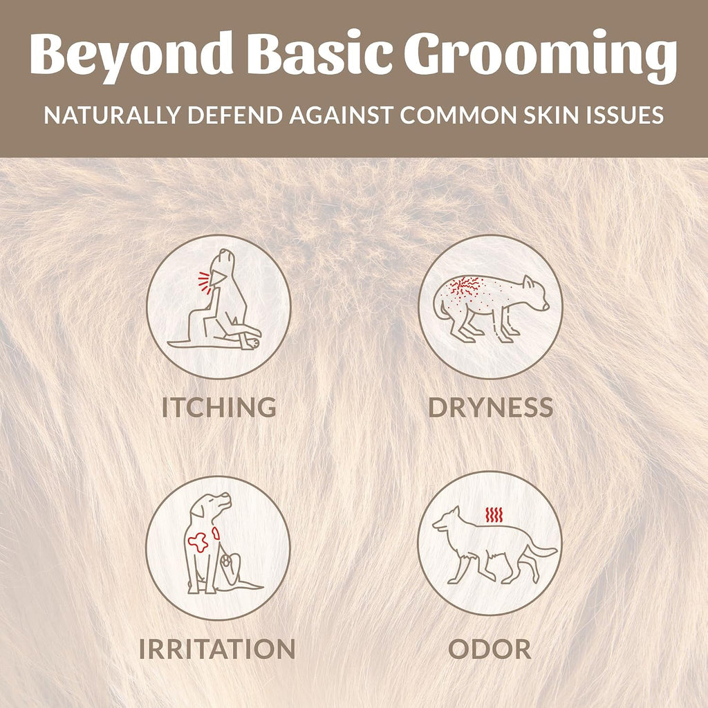 SKOUT'S HONOR Probiotic Dog Shampoo and Conditioner - DOTW, 16 oz | Hydrating Natural 2-in-1 for Itchy Skin, Microbiome-Friendly with Avocado Oil & Omega-3s, Paraben & Sulfate-Free