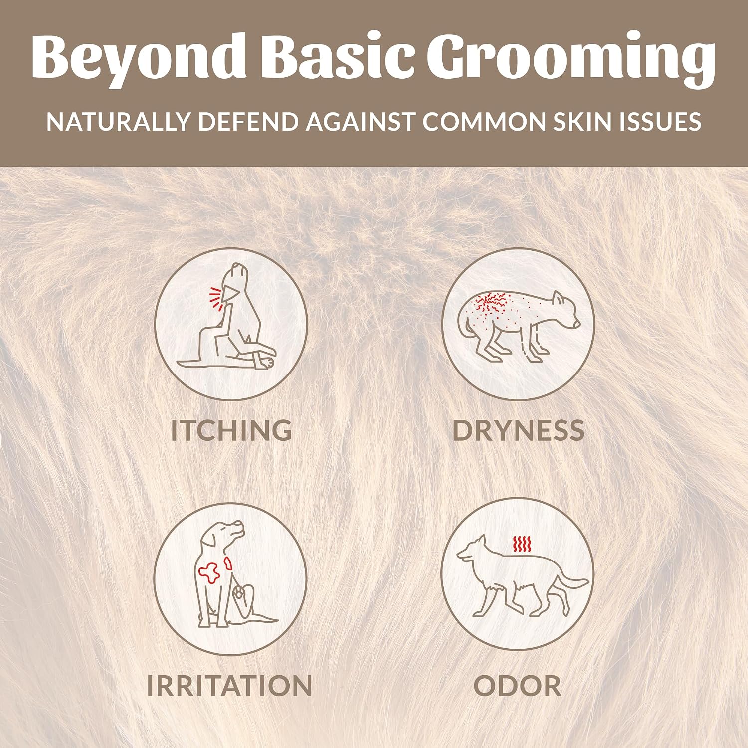 SKOUT'S HONOR Probiotic Dog Shampoo and Conditioner - DOTW, 16 oz | Hydrating Natural 2-in-1 for Itchy Skin, Microbiome-Friendly with Avocado Oil & Omega-3s, Paraben & Sulfate-Free