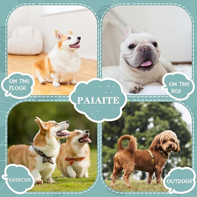 Cozy and Functional Dog Shirts for Small Puppies: Stretchable Ginger Attire with Easy-On Design, Ideal for Chihuahuas and Yorkies - Enhance Comfort and Playfulness on Chill Days X-Large
