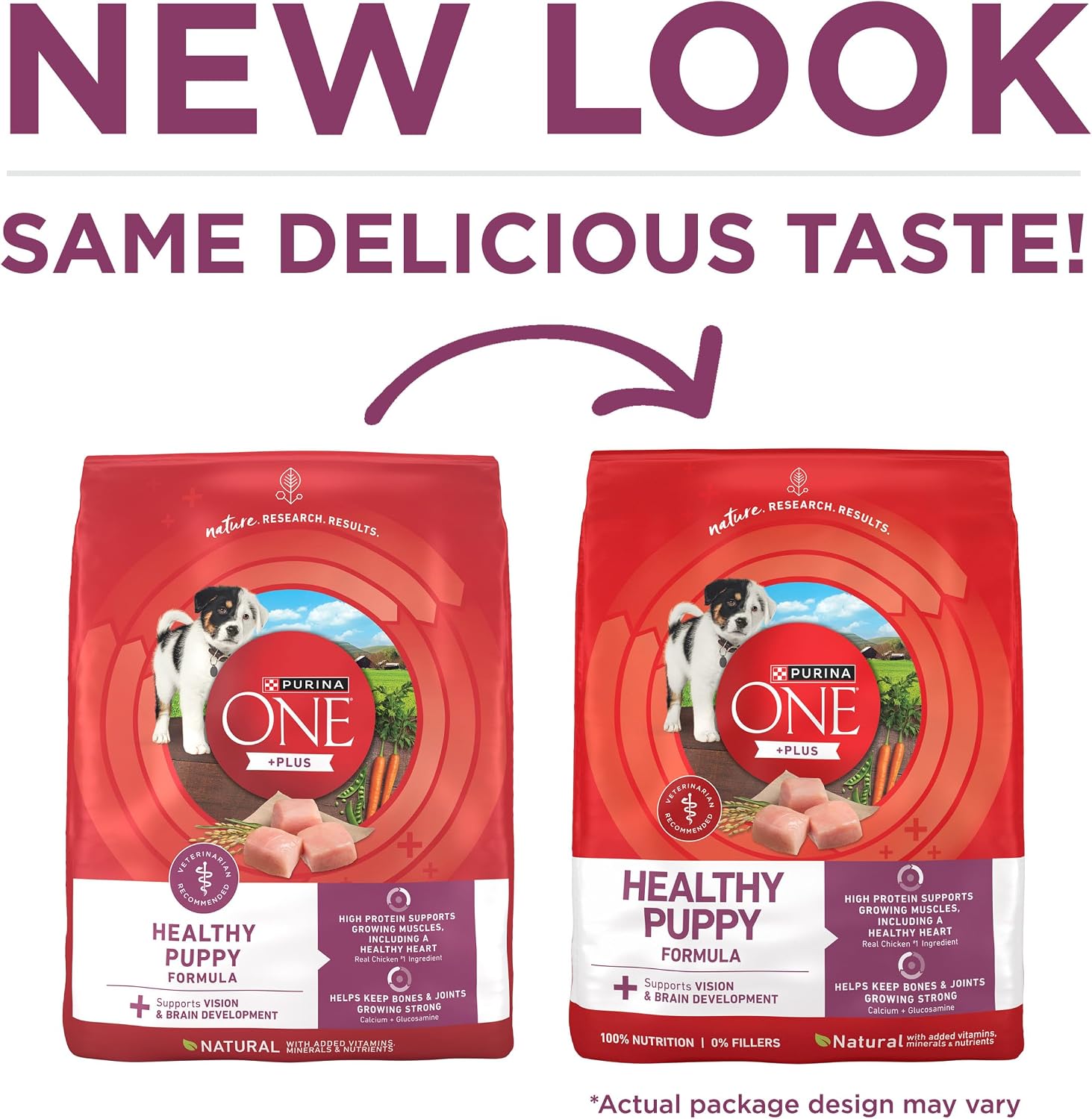 Purina ONE Plus Healthy Puppy Dry Food, Chicken, 31.1 lb Bag | High protein formula with real chicken, DHA to support vision and brain development and antioxidants for immune support