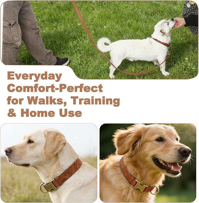 Genuine Leather Dog Collar - Adjustable Pet Collar with Quick Release Metal Buckle, Soft Skin Friendly Real Leather Collar for Small, Medium, Large Dogs (Khaki, M：Fit 12-20" Neck)