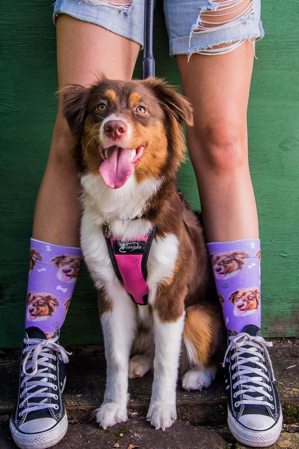 DivvyUp Socks - Custom Dog Socks - Put Your Dog on Socks! (Small, Heather Gray)