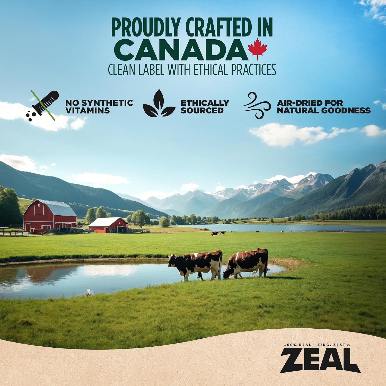 ZEAL Canada Air-Dried Dog Food - High Protein, Natural Superfoods, Nutrient Rich, No Fillers, Grain Free, Complete & Balanced (Beef, Turkey, Chicken) 3 lbs