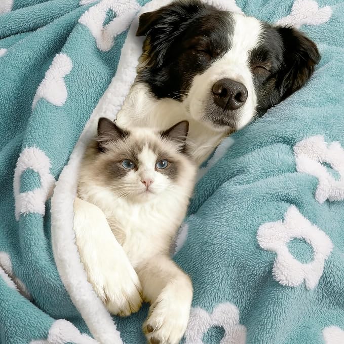 Luciphia Waterproof Pet Blanket for Medium Large Dogs Washable Fluffy Thick Jacquard Shag Fleece Warm Sherpa 3D Textured Flower Print for Cats Puppy Couch Protection (Blue,67x57 inches)