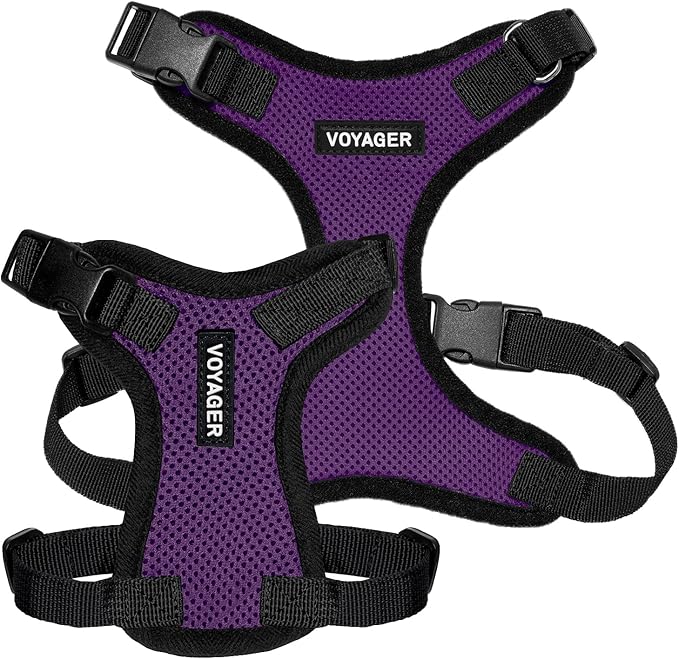 Voyager Step-in Pet Harness - All Weather Mesh, Adjustable Step in Harness for Cats and Dogs by Best Pet Supplies - Purple/Black Trim, XL