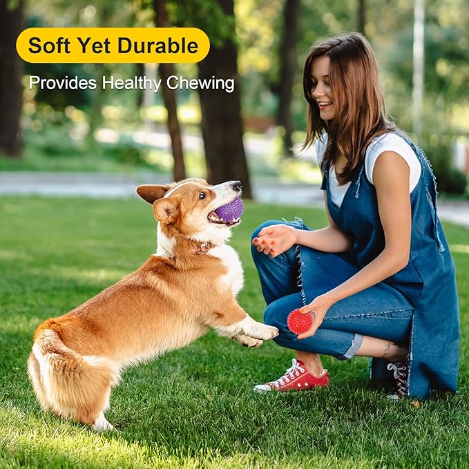 VITEVER 8 Colors 2.5” Squeaky Dog Toy Balls for Small Medium Dogs, Puppy Chew Toys for Teething, Spiky Balls for Small Dogs, Durable Toys for Teeth Cleaning and Training - Safe, BPA Free