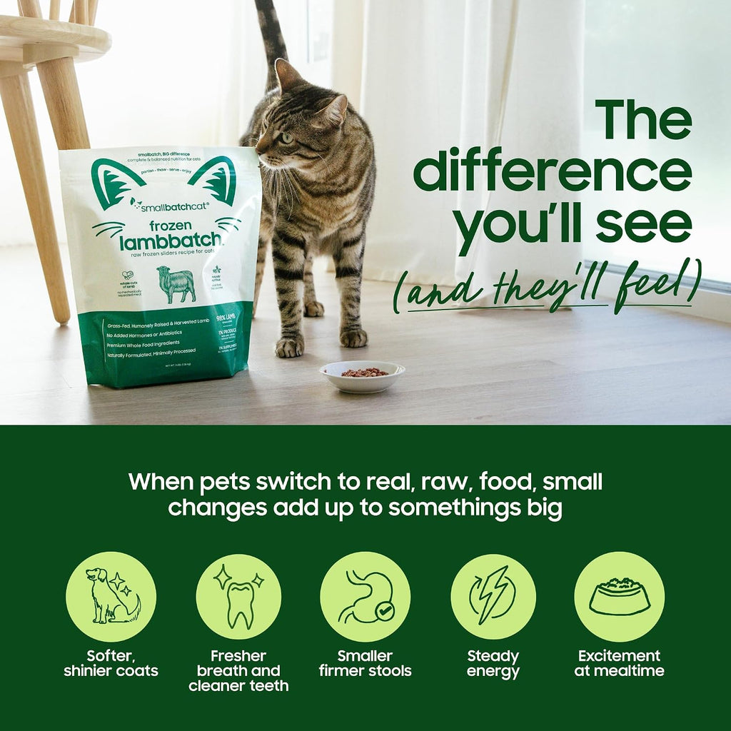 smallbatch Freeze Dried Raw Dog Food, Free-Range Chicken Small Bites 7 oz | Sustainably Sourced Protein, Grain-Free, Single Protein for Picky Eaters & Allergies, Adult Dog, Hydrate & Serve, Made in USA