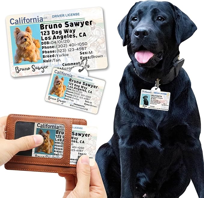 PawFurEver Personalized Dog Driver License ID Tag for Dogs & Cats - Custom Pet License Dog ID Tags Personalized Heavy Duty with Name, Photo & Phone Number, 50 States + DC (Iowa, Wallet Card)