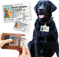 PawFurEver Personalized Dog Driver License ID Tag for Dogs & Cats - Custom Pet License Dog ID Tags Personalized Heavy Duty with Name, Photo & Phone Number, 50 States + DC (Kansas, Wallet Card)