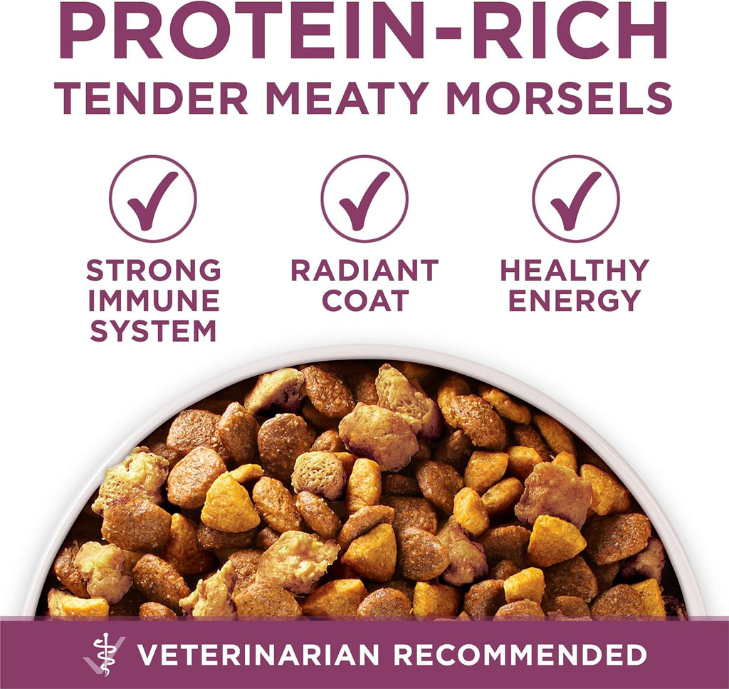 Purina ONE Plus Healthy Puppy Dry Food, Chicken, 31.1 lb Bag | High protein formula with real chicken, DHA to support vision and brain development and antioxidants for immune support