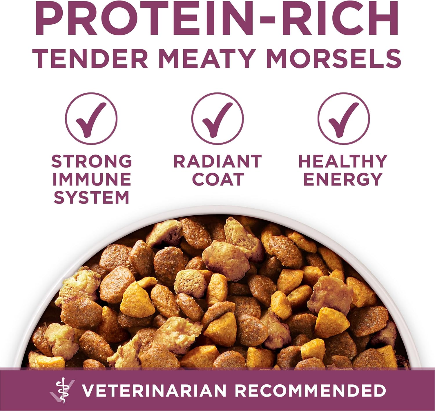 Purina ONE Plus Healthy Puppy Dry Food, Chicken, 31.1 lb Bag | High protein formula with real chicken, DHA to support vision and brain development and antioxidants for immune support