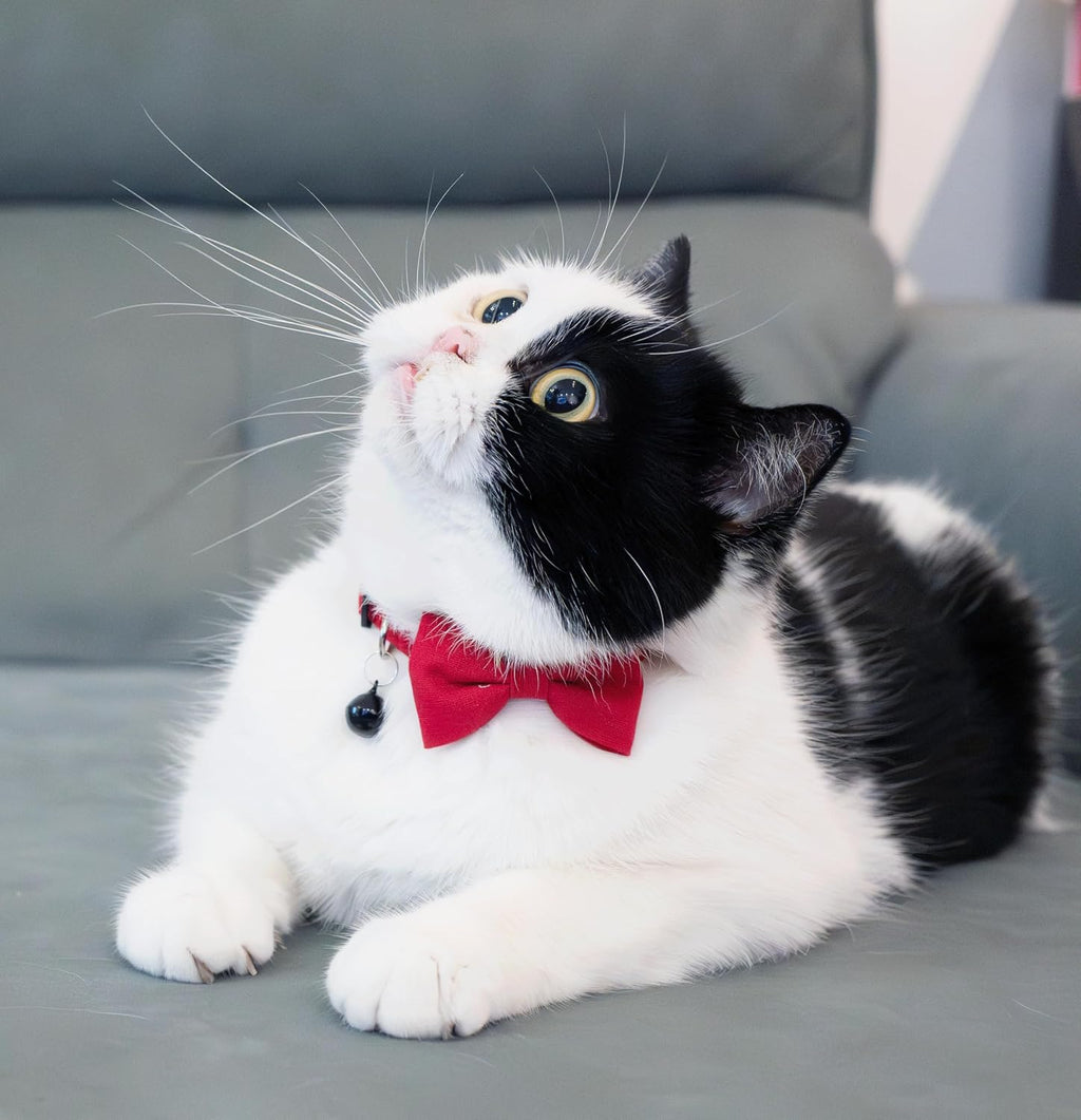 Cat Collar with Bow Tie Bell Breakaway Bowtie 2pcs Set Spring Plaid Flower Floral Solid Boy Girl Cute Kitten Safety B [Plaid & Solid] Green