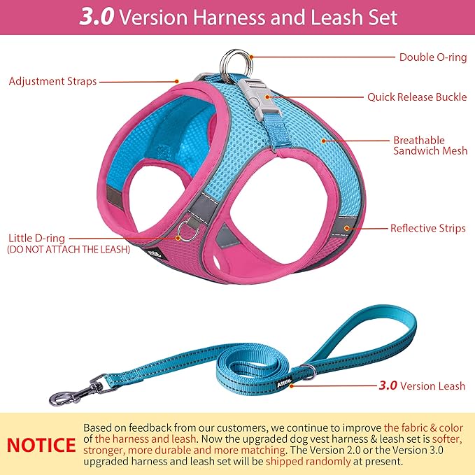 AIITLE Step in Dog Harness and Leash Set - No Pull Escape Proof Vest Harnesses with Soft Mesh and Reflective Bands, Adjustable Pet Outdoor Harnesses for Small and Medium Dogs Hot Pink M