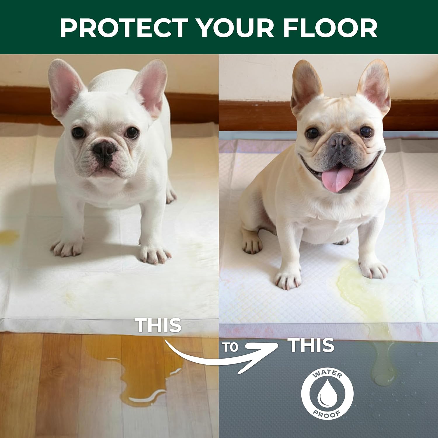 FXW Floor Protector Mat, Waterproof PVC, 55" x 55", Gray | Scratch & Chew Resistant, Quick Rinse Cleanup, Fits 24"H 8-Panel FXW Metal Playpens, Indoor Use