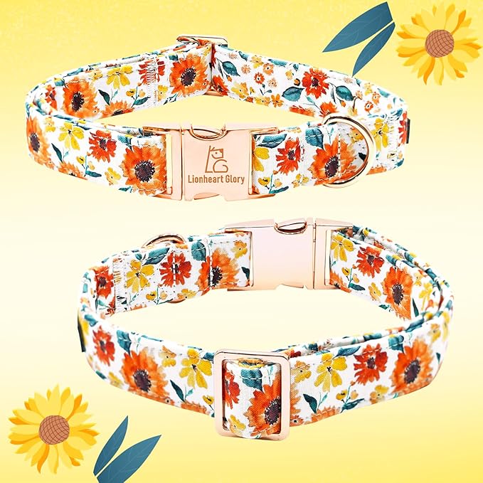 Lionheart Glory Floral Dog Collar with Flowers - Soft, Durable & Adjustable for Large Dogs