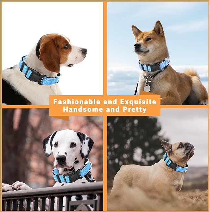 2 Pack Reflective Dog Collar with Safety Locking Buckle, Adjustable Soft Breathable Comfortable Nylon Pet Collar for Small, Medium and Large Dogs, SkyBlue, M