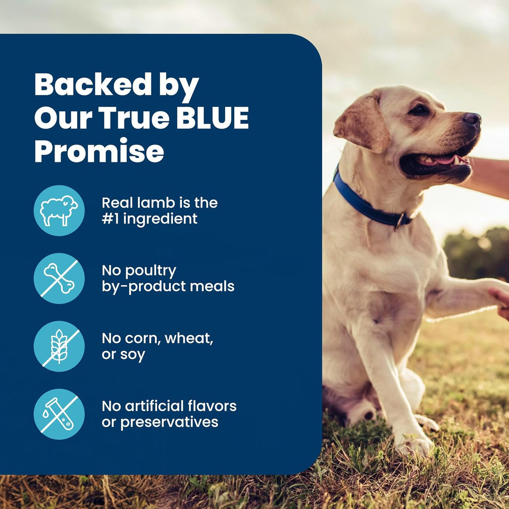 Blue Buffalo Life Protection Formula Lamb Senior 7+ Dry Dog Food, 30 lb | Real Lamb #1 Ingredient, with Glucosamine & Chondroitin for Joint Health & Mobility, Antioxidant-Rich LifeSource Bits