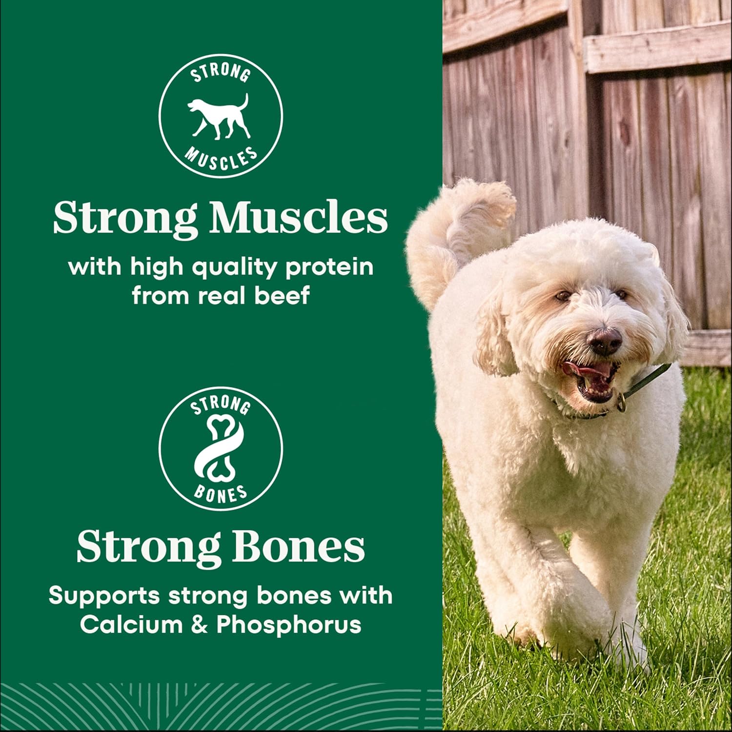 Nutro Natural Choice Adult Dry Dog Food, Chicken & Brown Rice Recipe, 36 lb | Non-GMO, Real chicken #1 ingredient, no corn, wheat, soy or chicken by-product meal, supports skin & coat/digestion/immunity