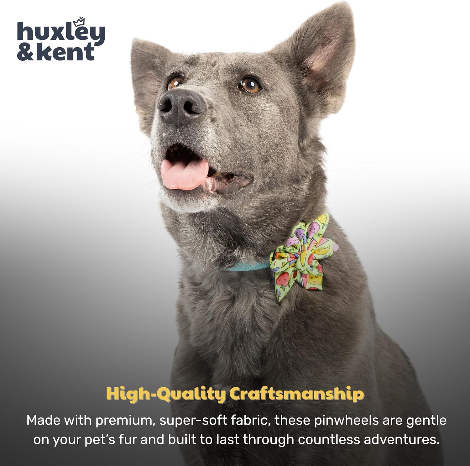 Huxley & Kent Pinwheel Collar Bow for Dogs & Cats, Tutti Fruity, Small | Clips to Any Collar with Hook & Loop, Soft, Lightweight, Machine Washable, Great for Holidays, Photos & Gifting