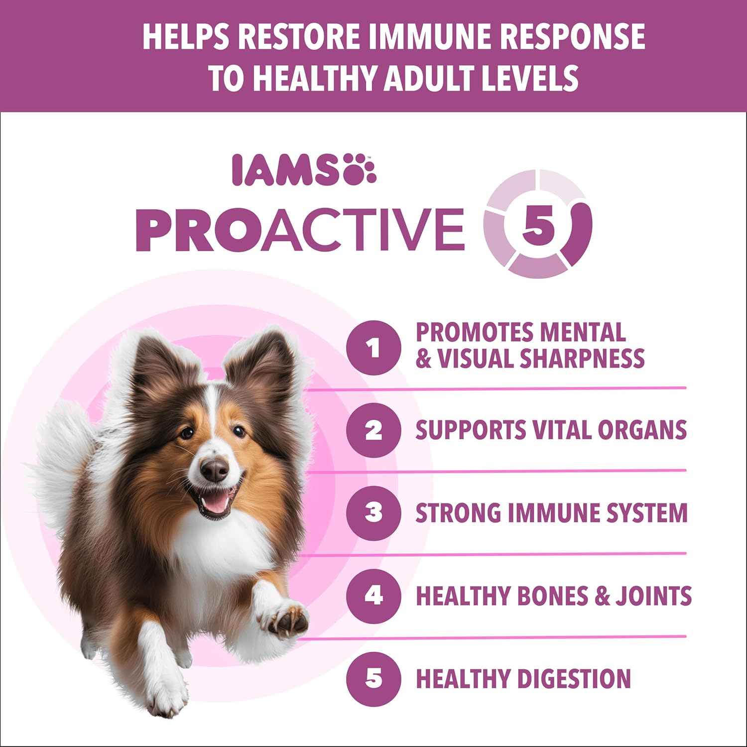 IAMS Proactive Health Healthy Aging Dry Dog Food, Chicken, 5 lb | Veterinarian-recommended, DHA Gold for mental & visual sharpness, Vitamin E & Beta Carotene, real chicken #1 ingredient