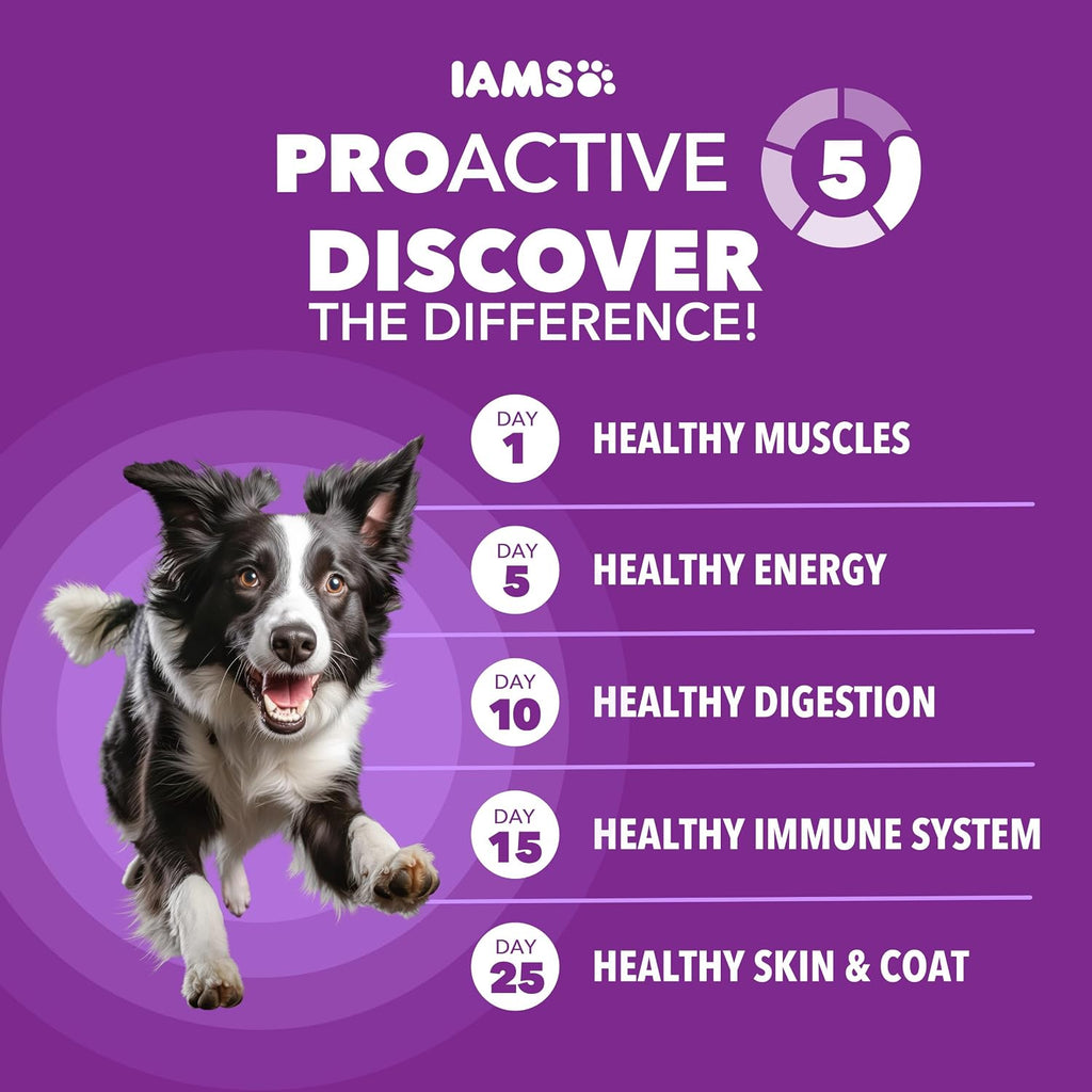 IAMS Advanced Health Healthy Digestion Dry Dog Food, Chicken, 13.5 lb | Real farm-raised chicken #1 ingredient, 0% fillers, natural fiber & prebiotics, supports digestive health