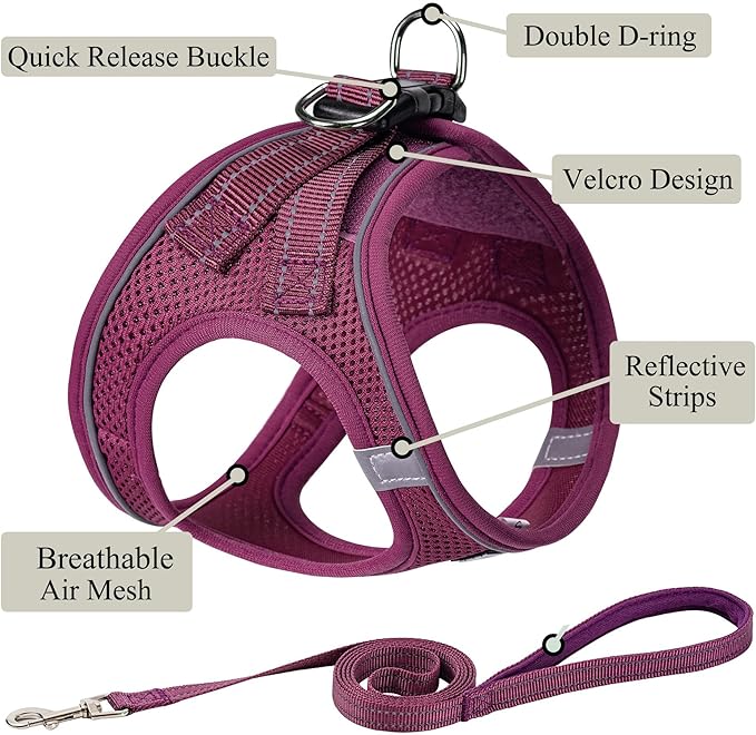 Dog Harness with Leash Set, No Pull Adjustable Reflective Step-in Puppy Pet Vest Harnesses for Small Medium Large Dogs and Cats,Cranberry M