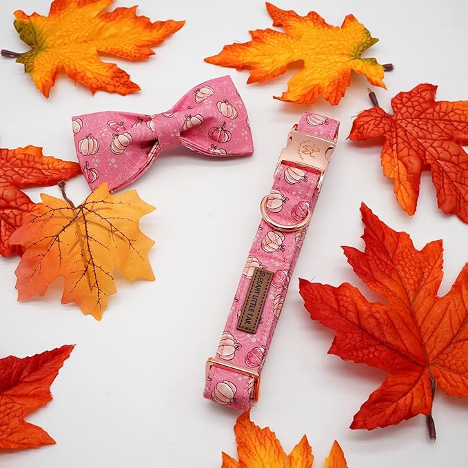 Elegant Little Tail Dog Collar with Bow, Adjustable Halloween Pumpkin Bowtie Collar for Small to Large Dogs