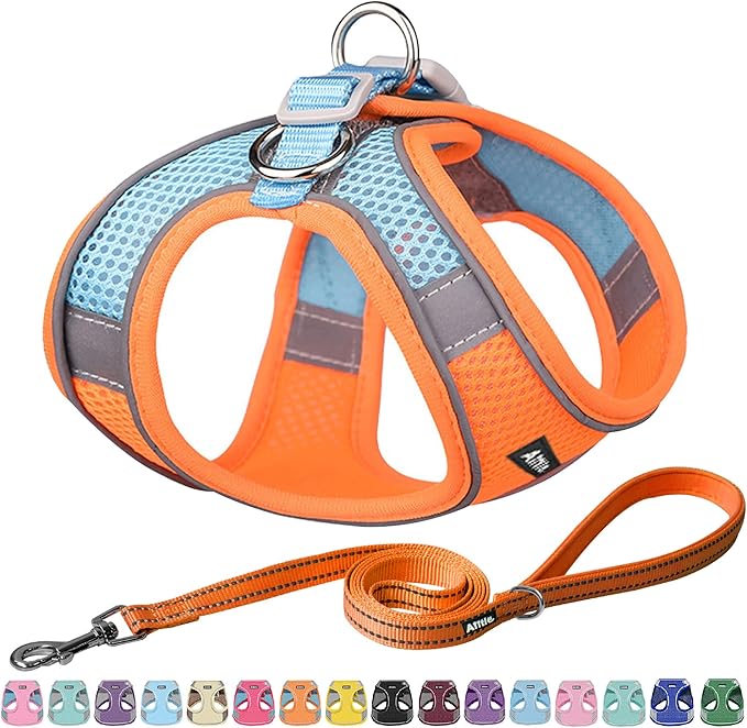 AIITLE Step in Dog Harness and Leash Set - No Pull Escape Proof Vest Harnesses with Soft Mesh and Reflective Bands, Adjustable Pet Outdoor Harnesses for Small and Medium Dogs Orange M