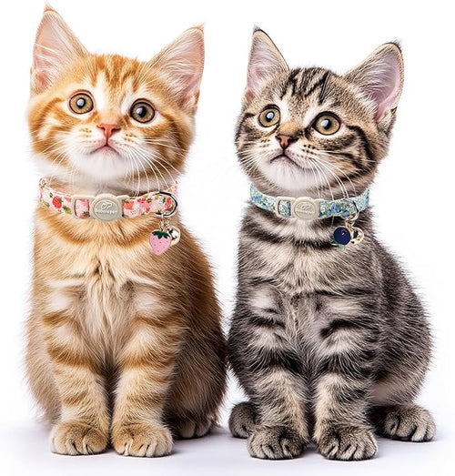 2 Pack Spring Summer Cat Collars - Cute Breakaway Cat Collar with Bell, Bluberry and Strawberry Pendant, Adjustable Kitten Collars for Girl Cats, Pastel Floral Fruit