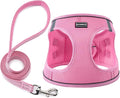 BOOMIBOO Dog Harness with Leash Set, No Pull Adjustable Reflective Step-in Puppy Pet Vest Harnesses for Small Medium Large Dogs and Cats,Pink XXS