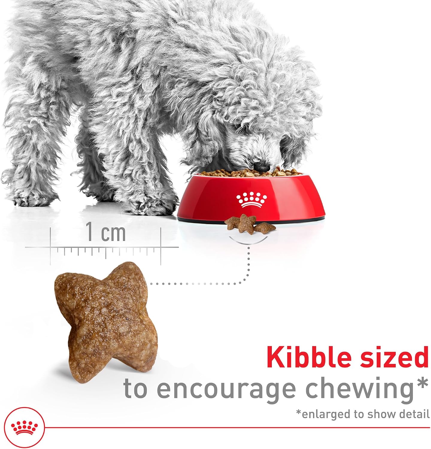 Royal Canin Size Health Nutrition Small Adult Dry Dog Food, 4 lb. Bag