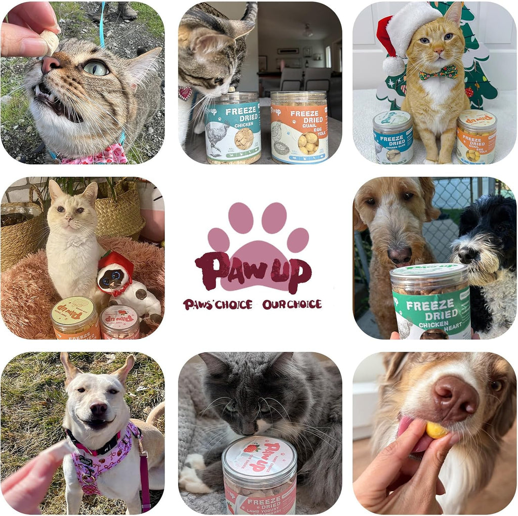 PAWUP Freeze Dried Duck Treats for Cats Dogs, Rawhide Free Freeze-Dried Raw Food Topper, High Protein, Gluten&Grain Free, 2.1oz