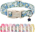 Blueberry Pattern Dog Collar, Cute Light Blue Spring Summer Puppy Collar - Soft Adjustable Designer Dog Collars for Small Medium Large Dogs L